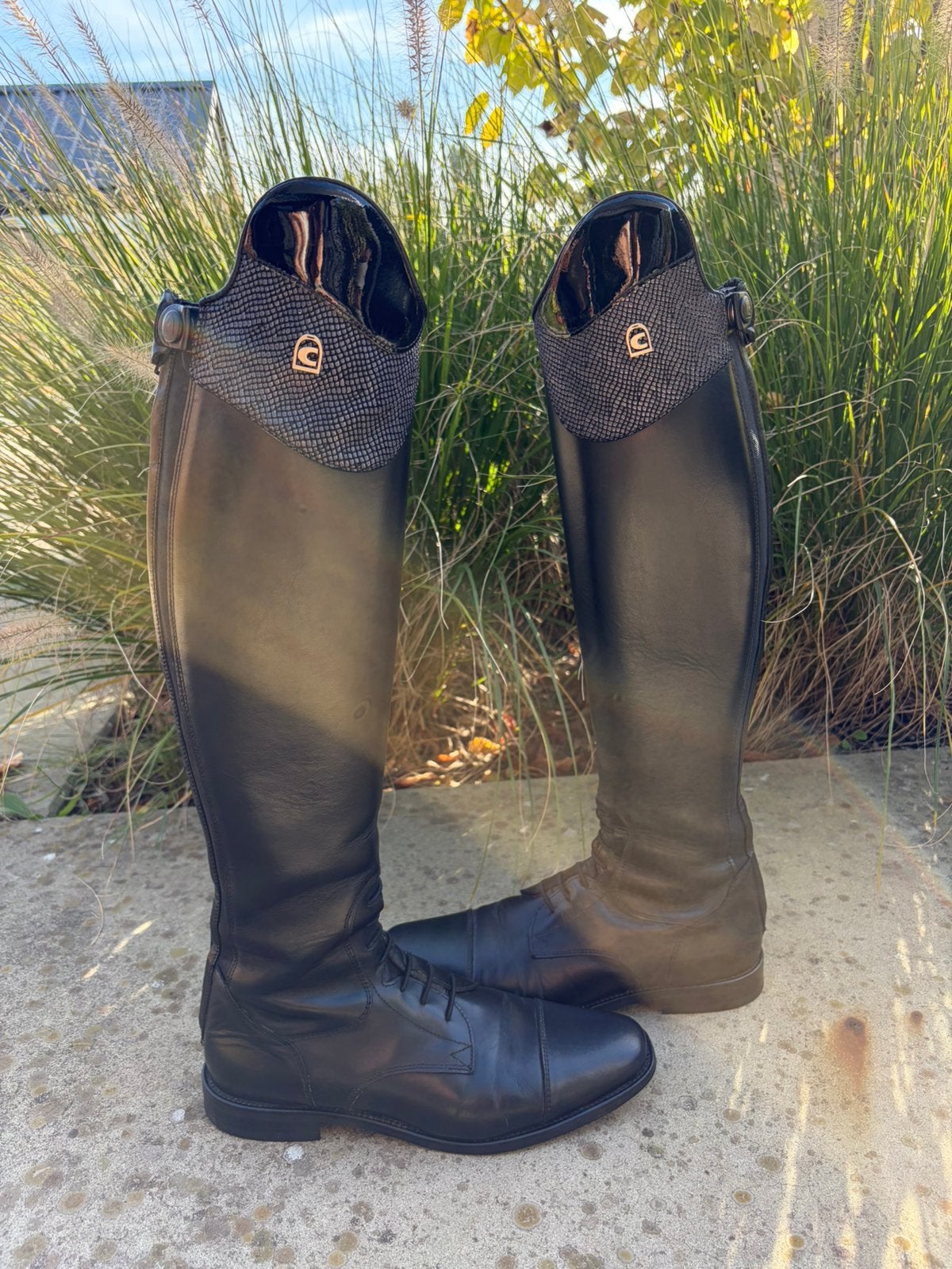 Cavallo Cavallinus Dressage Verano rijlaarzen lak zwart, Dieren en Toebehoren, Ritssluiting, Dressuur, Ophalen of Verzenden, Zo goed als nieuw