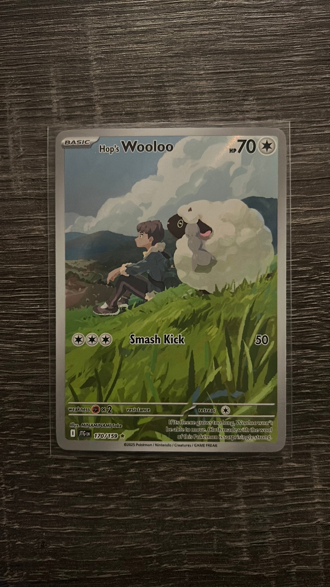 Hop’s Wooloo 170/159, Ophalen of Verzenden, Nieuw, Losse kaart