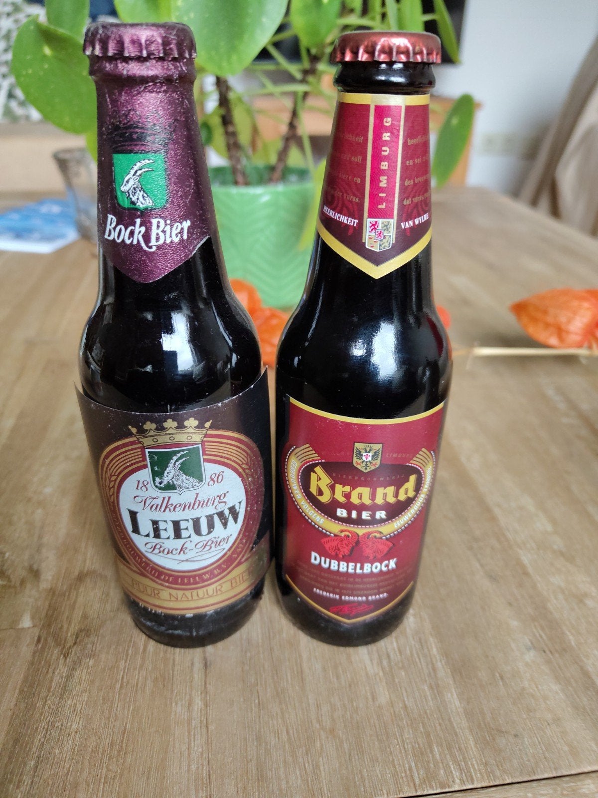Bockbier en 1995, Verzamelen, Ophalen of Verzenden, Zo goed als nieuw, Flesje(s), Brand