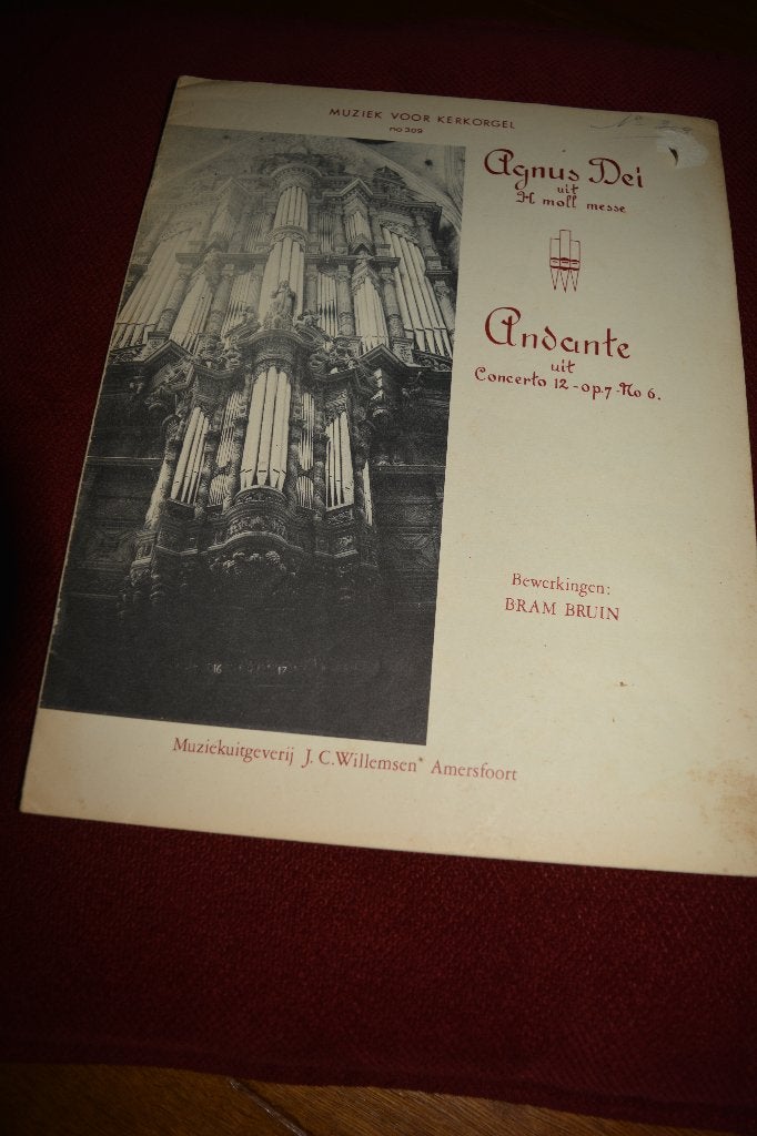 orgel, Agnus Dei en Andante, bewerking Bram Bruin, no 309, Gelezen, Bram Bruin, Instrument, Ophalen of Verzenden