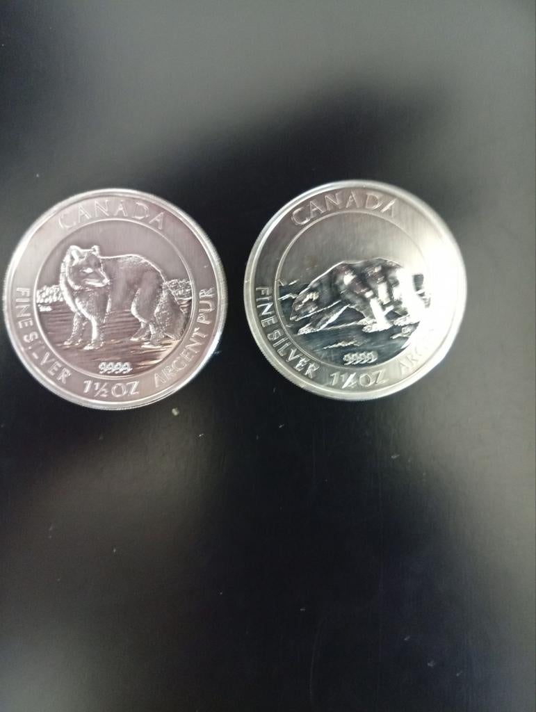 Te koop: 1.5 oz Zilver Arctic Series, Ophalen of Verzenden, Zilver