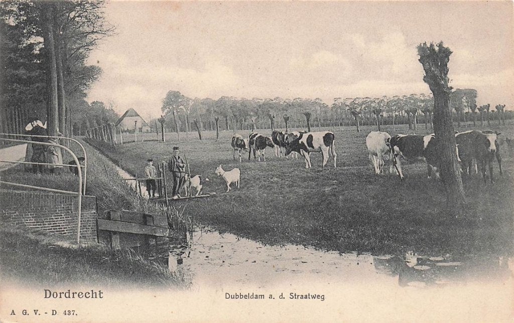 702-235-041 Dordrecht Dubbeldam A D Straatweg, Verzenden, Voor 1920, Zuid-Holland