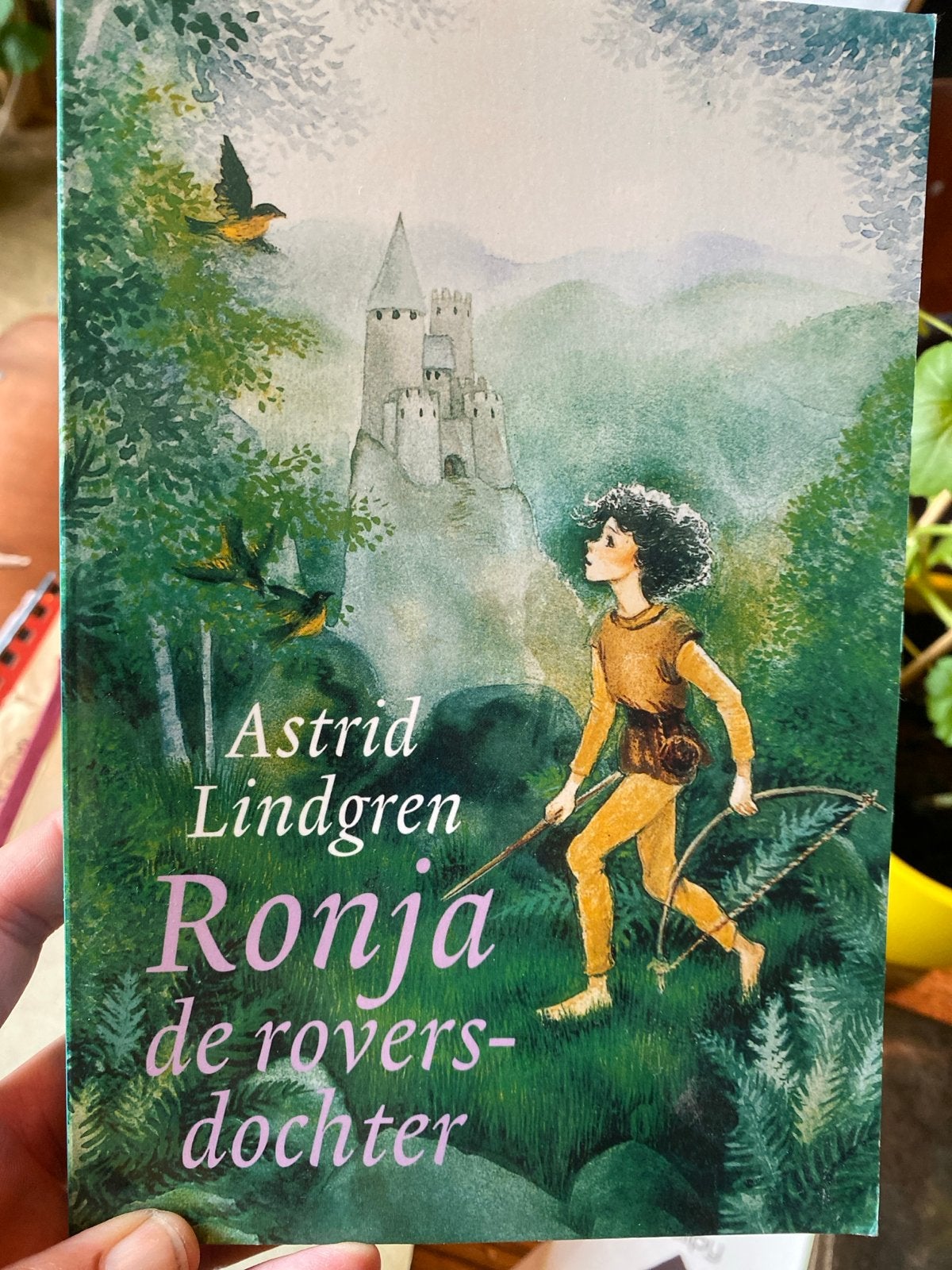 Ronja de roversdochter - Astrid Lindgren (Goede staat!), Boeken, Kinderboeken | Jeugd | 10 tot 12 jaar, Ophalen of Verzenden, Fictie
