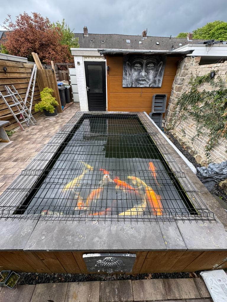 Visvijver met koi’s en alle toebehoren., Tuin en Terras, Vijvers, Ophalen, Nieuw