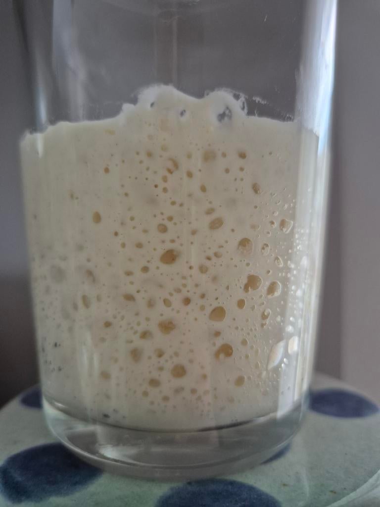 Desemstarter zuurdesem starter tarwebloem, Ophalen of Verzenden