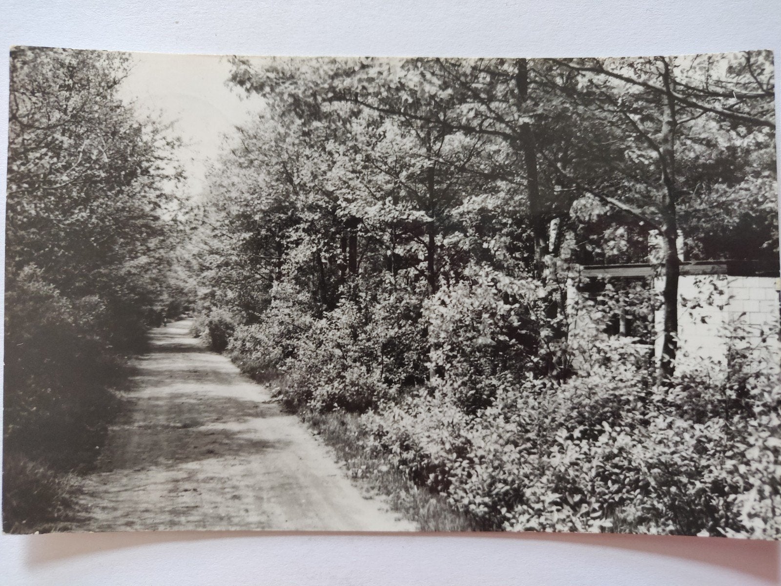 c1645 chaam, Verzenden, 1920 tot 1940