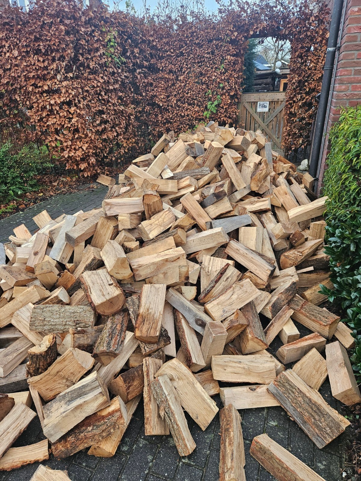Droog Beuken brandhout haardhout kachelhout gratis bezorgd, 6 m³ of meer, Ophalen, Beukenhout, Blokken