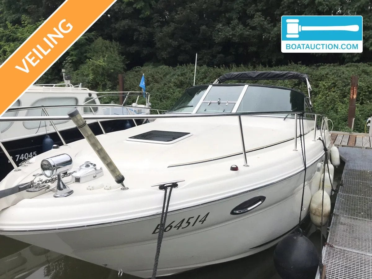Sea Ray Amberjack 315 nu in de online veiling., 3 m, Overige materialen, 9 m, Gebruikt