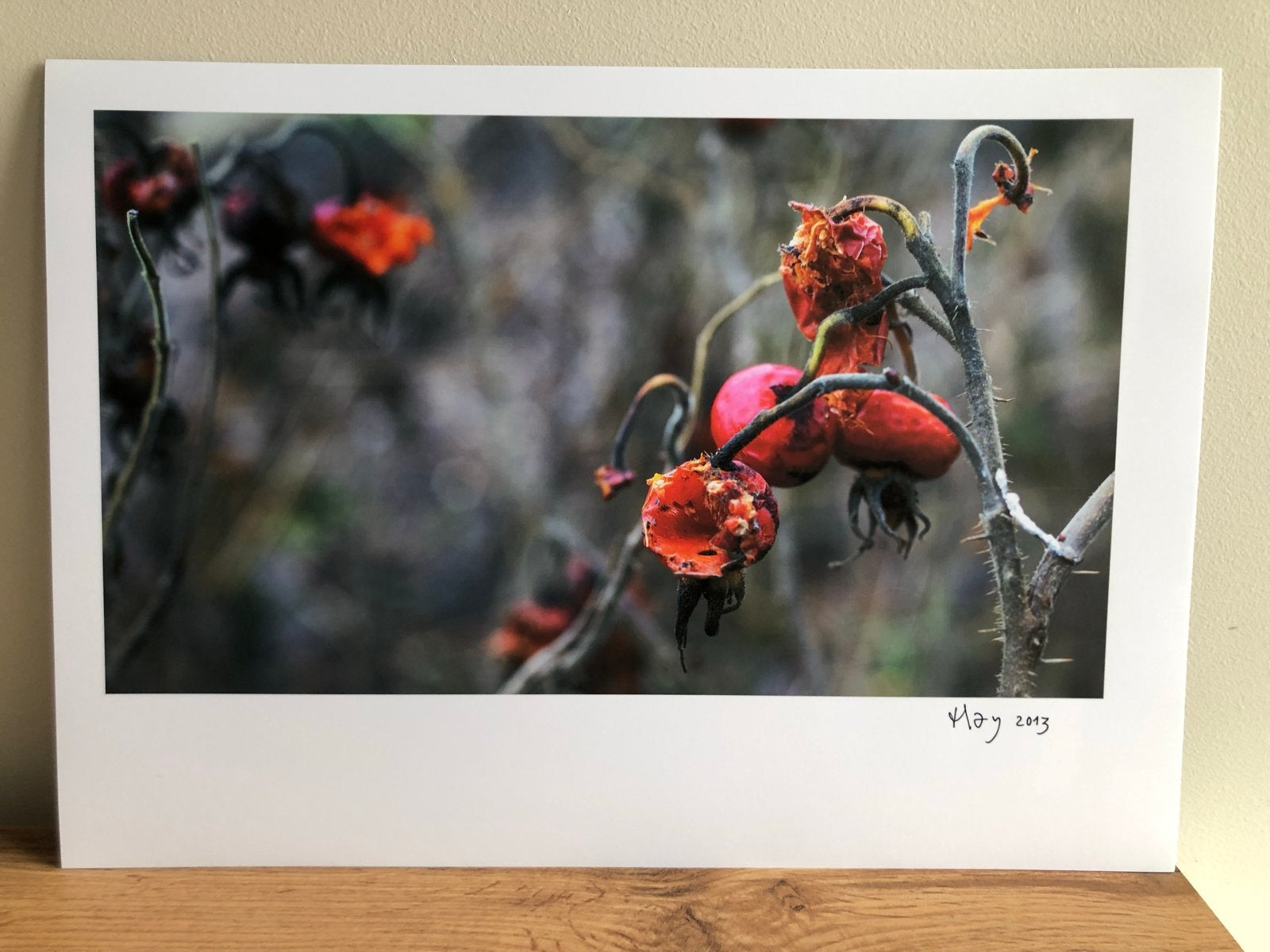 Poster van Hay Hermans - Rode Bessen (2013), Huis en Inrichting, Oorspronkelijke maker, Nieuw, Ophalen of Verzenden, Foto of Poster