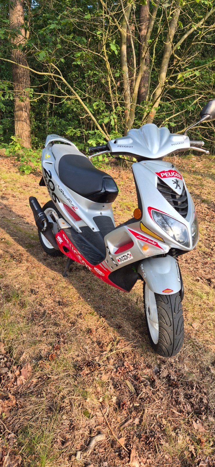 Peugeot Speedfight 2, WRC 206, LC, DD, Fietsen en Brommers, Ophalen, Gebruikt, Tweetakt, Speedfight