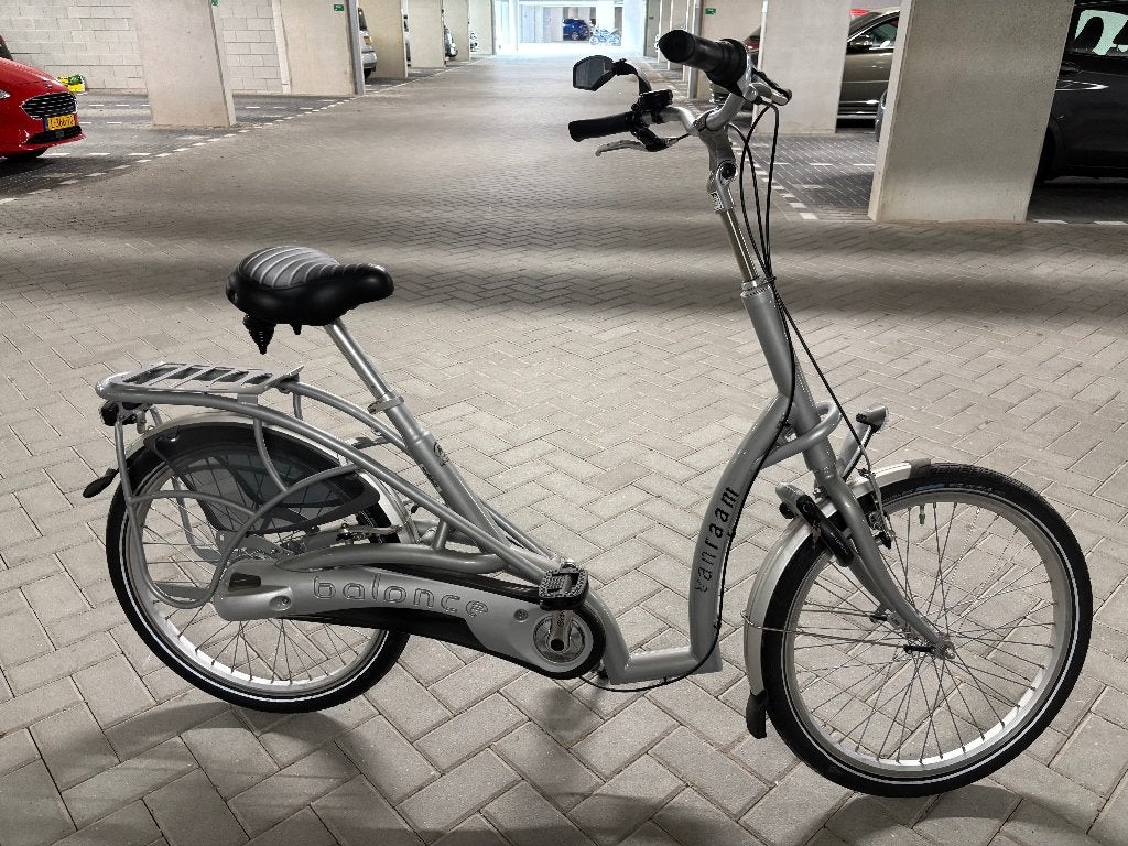 Raam type Balance fiets bijna nieuw., Fietsen en Brommers, Ophalen, Zo goed als nieuw, Velgrem, Van Raam Easy Rider