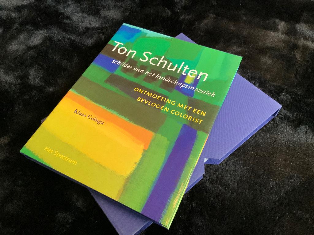Ton Schulten - Ontmoeting met een bevlogen colorist, Zo goed als nieuw, Schilder- en Tekenkunst, Ophalen of Verzenden, Klaas Goinga