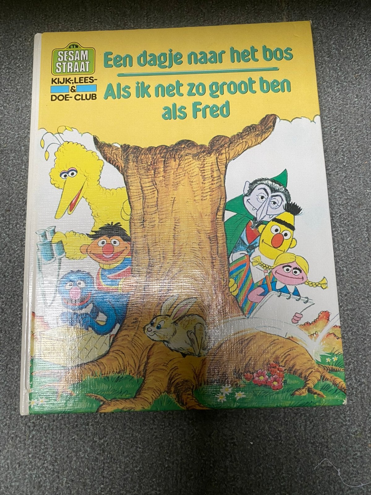 Boek Sesamstraat, Ophalen of Verzenden, Nieuw, Fictie algemeen