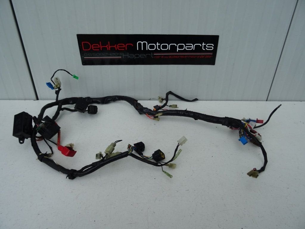 Kabelboom / Wire Harness Yamaha Fazer 600 1998-1999-2001, Gebruikt, -, -, Ophalen of Verzenden