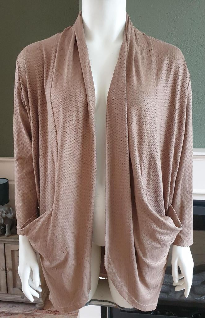 Crème de la crème bruine cardigan vest XL mt 46 48, Kleding | Dames, Beige, Maat 46/48 (XL) of groter, Creme de la creme, Ophalen of Verzenden