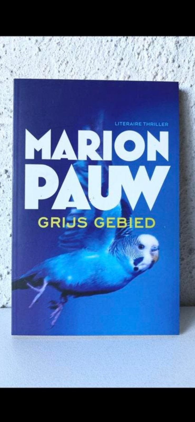 boek:  ‘GRIJS GEBIED’  (2015), Ophalen of Verzenden, Nieuw