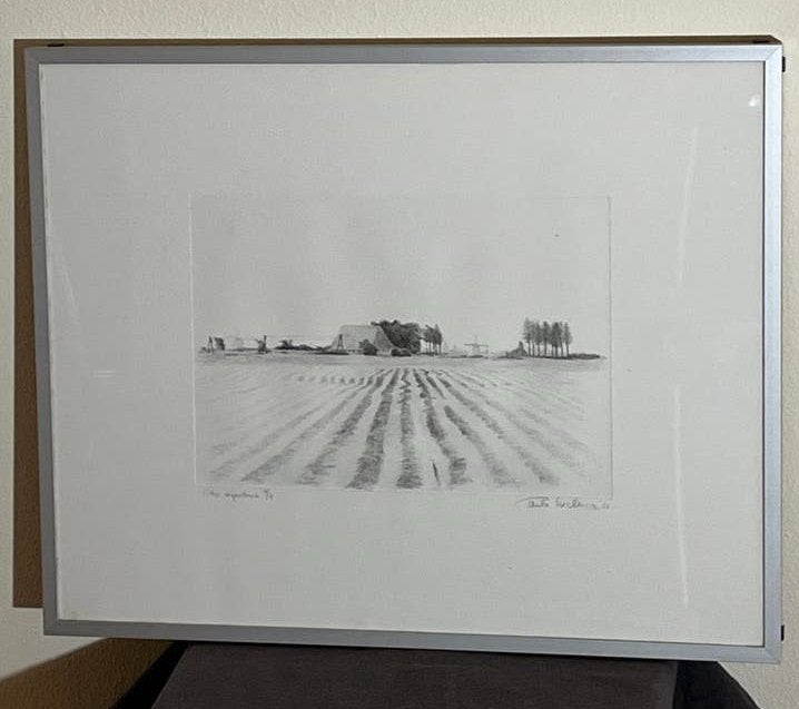 Landschap met molen - gesigneerde litho, Antiek en Kunst, Kunst | Litho's en Zeefdrukken, Gelimiteerde oplage, Ophalen of Verzenden