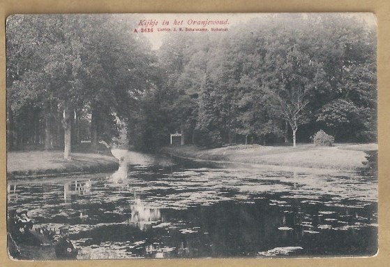 Oude ansichtkaart 'Kijkje in het Oranjewoud', Ophalen of Verzenden, Voor 1920, Gelopen, Noord-Brabant