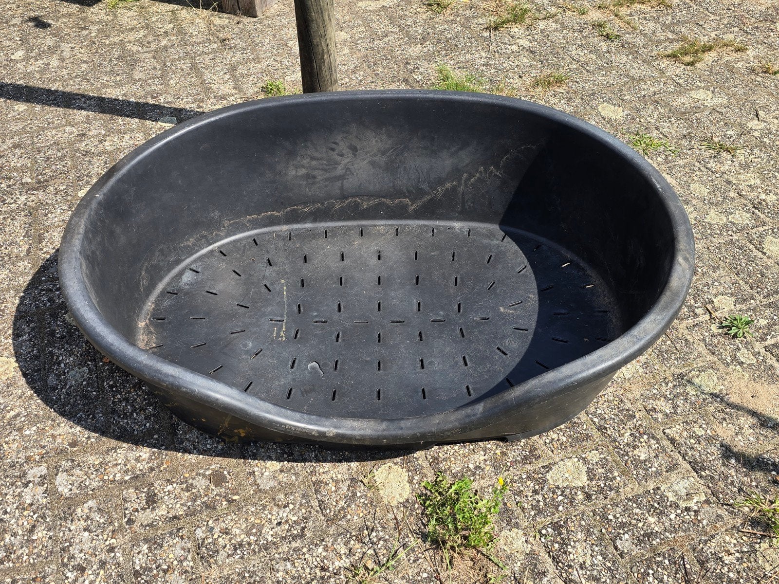 Grote hondenmand, Dieren en Toebehoren, Ophalen, Gebruikt