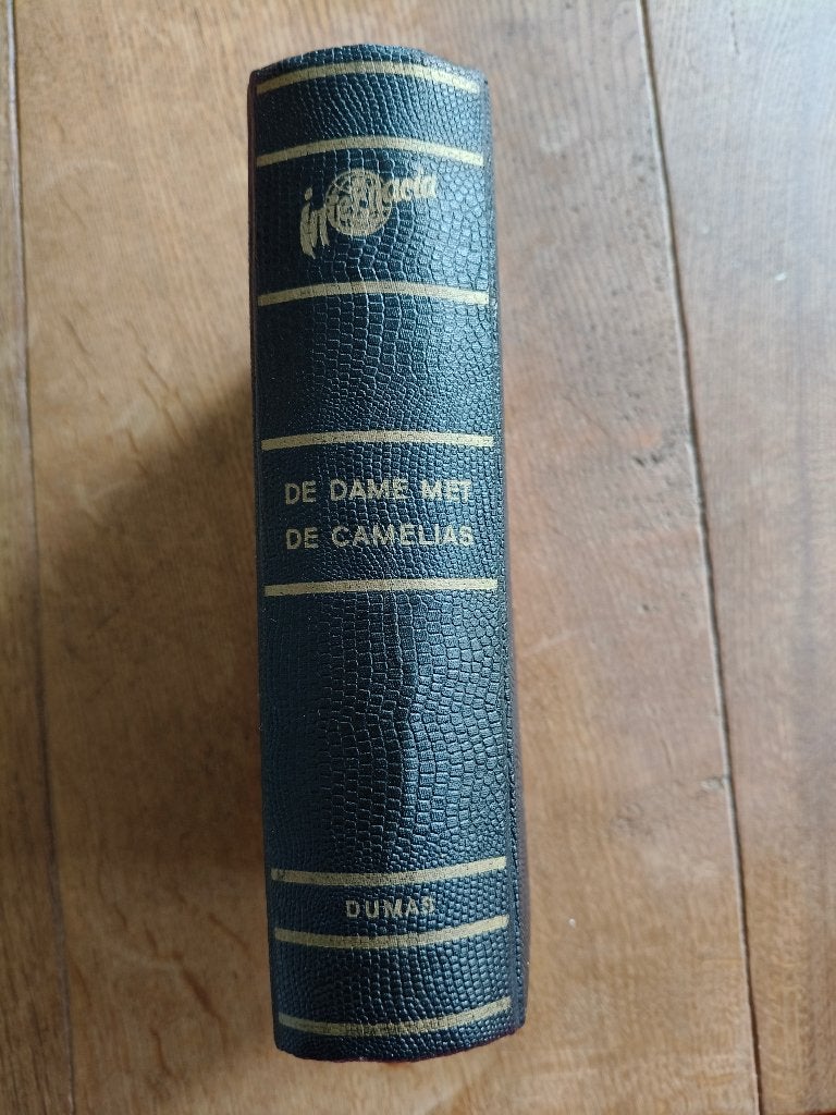 De dame met de Camelias - Alexander Dumas, Boeken, Ophalen of Verzenden, Gelezen, Alexandre Dumas, Europa overig