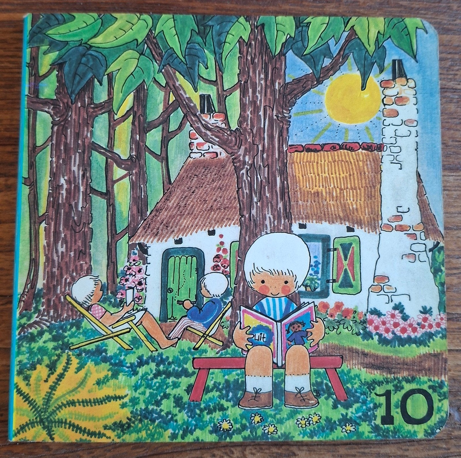 Botjes boek nr 10 Een dag in de zon, Boeken, Ophalen of Verzenden, Gelezen, Fictie algemeen