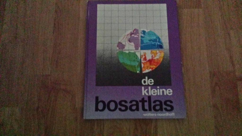 de kleine bosatlas, Boeken, Bosatlas, Ophalen of Verzenden, Zo goed als nieuw, 1800 tot 2000