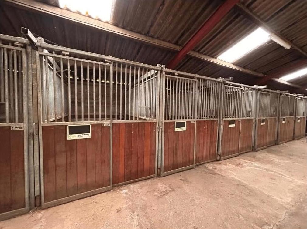 Corton voorwanden | 1.93 x 2.40 m., Weidegang, 4 paarden of pony's of meer