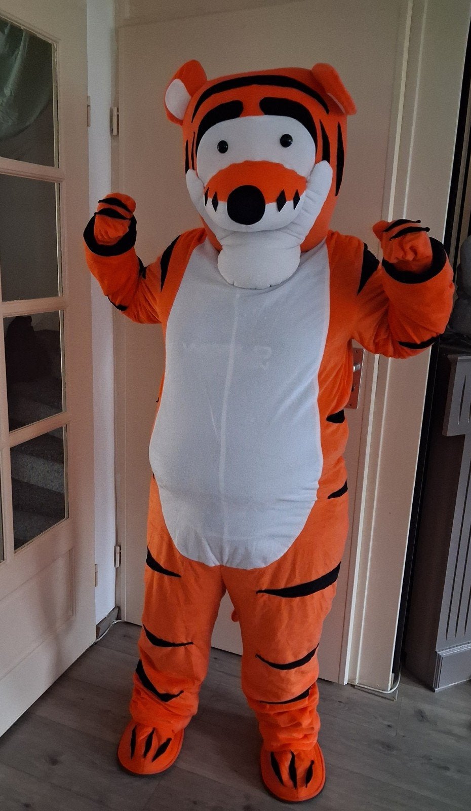 mascotte pak  tijgertje, Ophalen