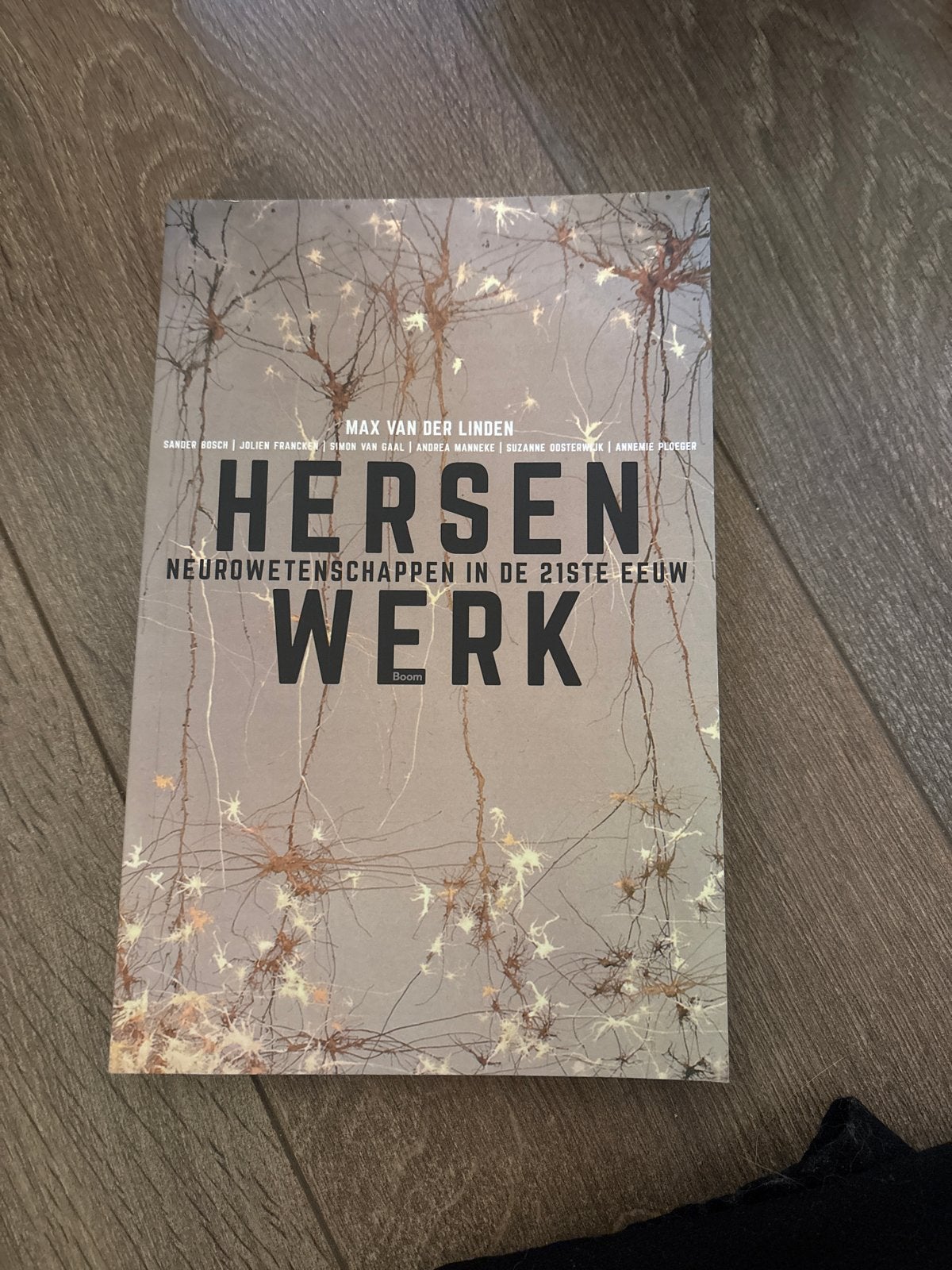 Hersenwerk: Neurowetenschappen in de 21ste eeuw - Zo goed al, Ophalen of Verzenden, Zo goed als nieuw, Functieleer of Neuropsychologie