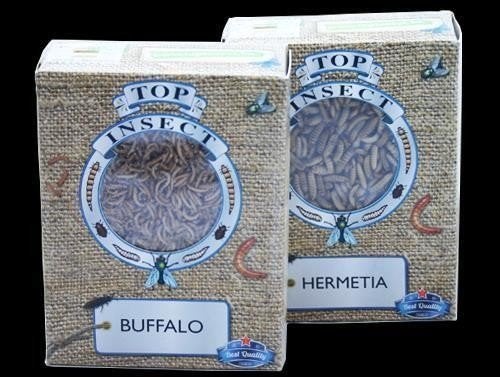 Te koop alle soorten diepvriesvoer, pinkies, buffalowormen,, Dieren en Toebehoren, Vogels | Toebehoren, Ophalen, Nieuw, Info@birdtrade.nl