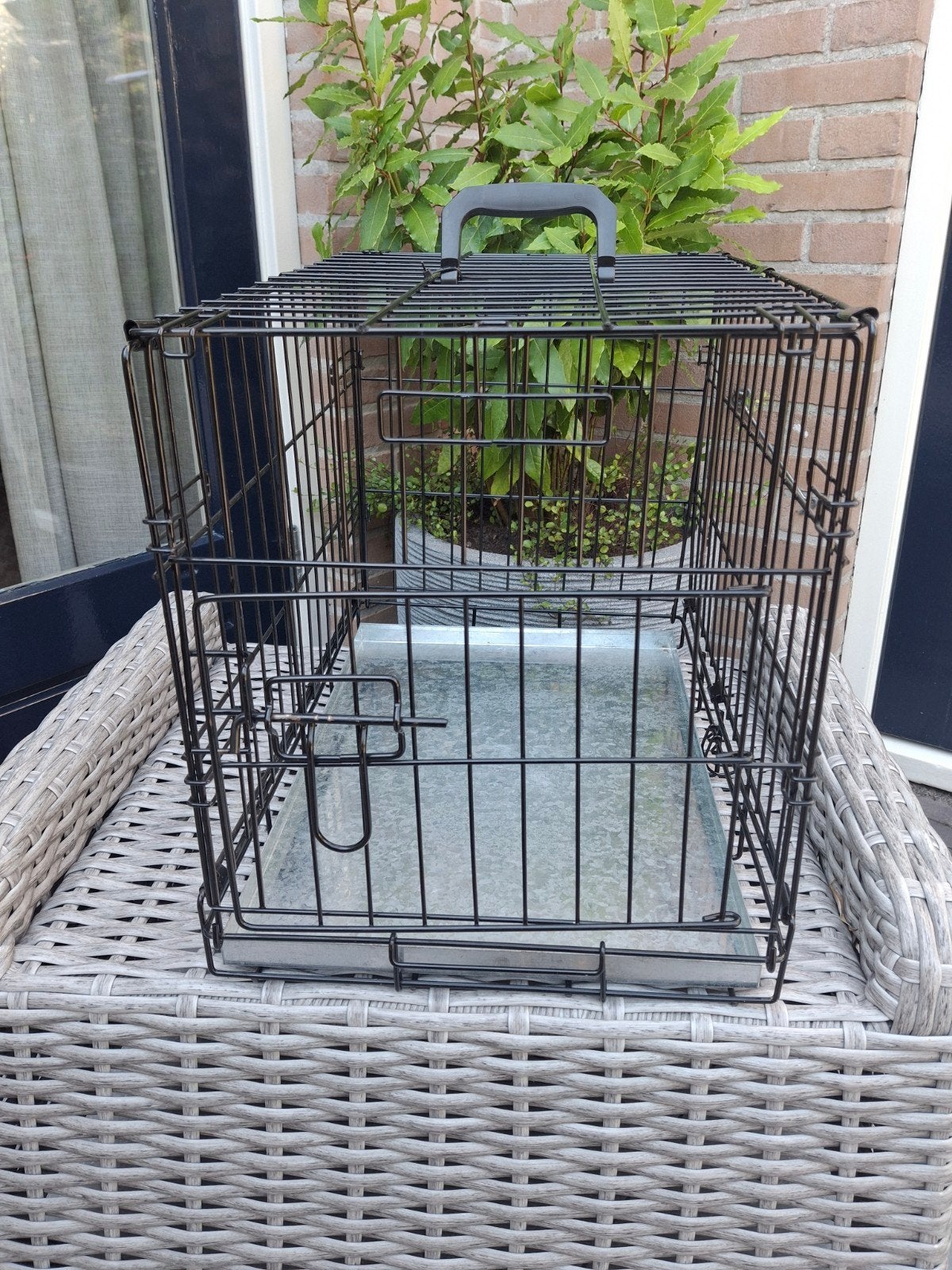 Hondenbenche, Ophalen, Zo goed als nieuw, Minder dan 75 cm, Minder dan 65 cm