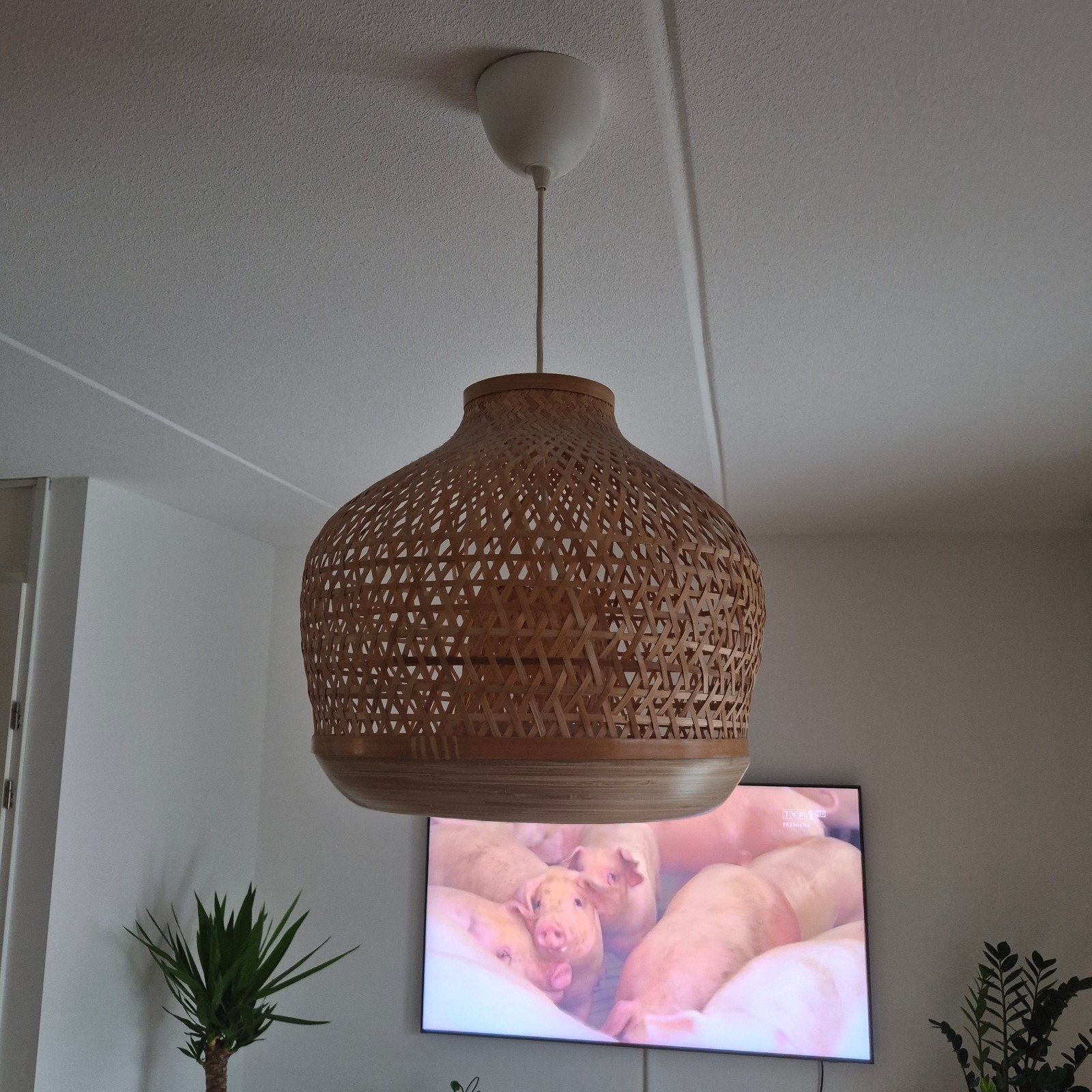 MISTERHULT lamp ikea, Ophalen, Bohemian, Scandinavisch, Natuurlijk materiaal, E27 (groot)