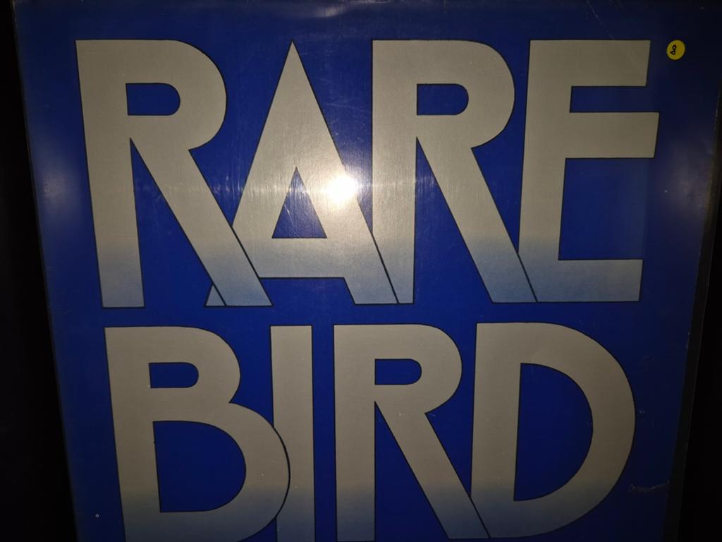 Rare Bird, Verzenden, Gebruikt, 12 inch, Poprock