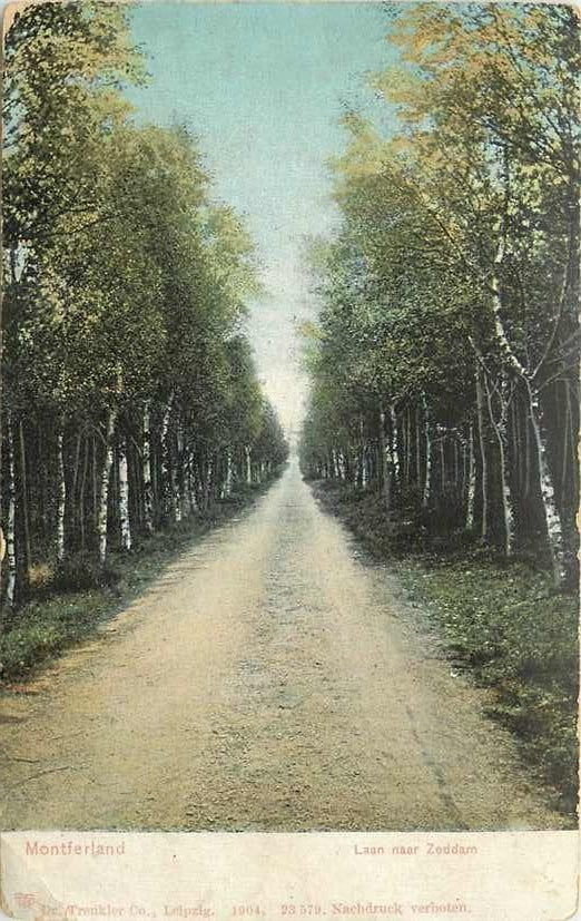 377-614-001 Montferland  Laan naar Zeddam, Verzamelen, Verzenden, Voor 1920, Gelderland