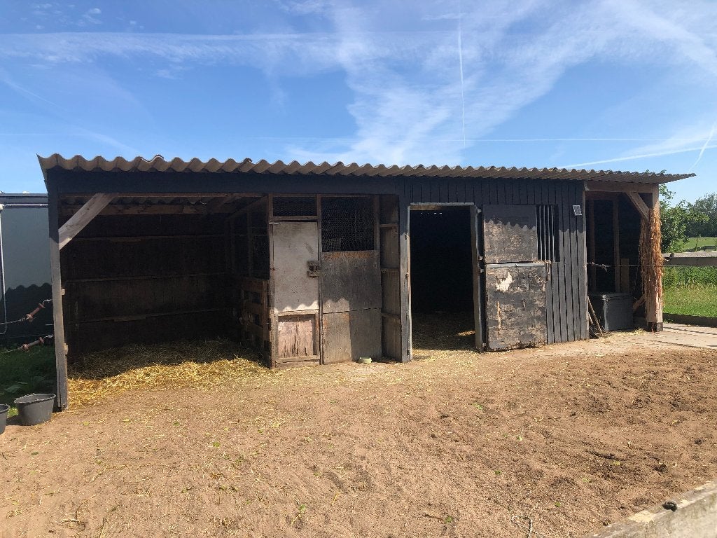 Gratis af te halen: paardenstal en schuilstal, Dieren en Toebehoren, Stalling, 2 of 3 paarden of pony's