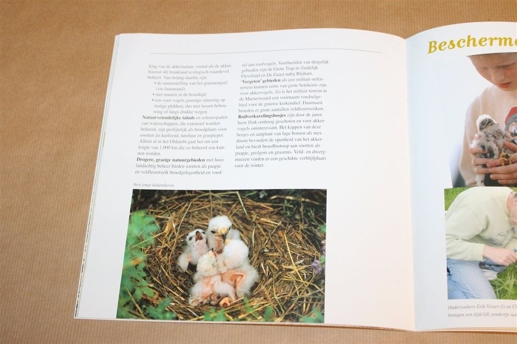 Grauwe Kiekendief — Oogst van Akkernatuur — Vogelboek, Boeken, Dieren en Huisdieren, Ophalen of Verzenden, Zo goed als nieuw, Vogels