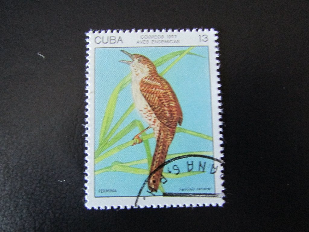 Postzegel Vogel: Zapata-Winterkoning uit Cuba, Ophalen of Verzenden, Gestempeld, Dier of Natuur