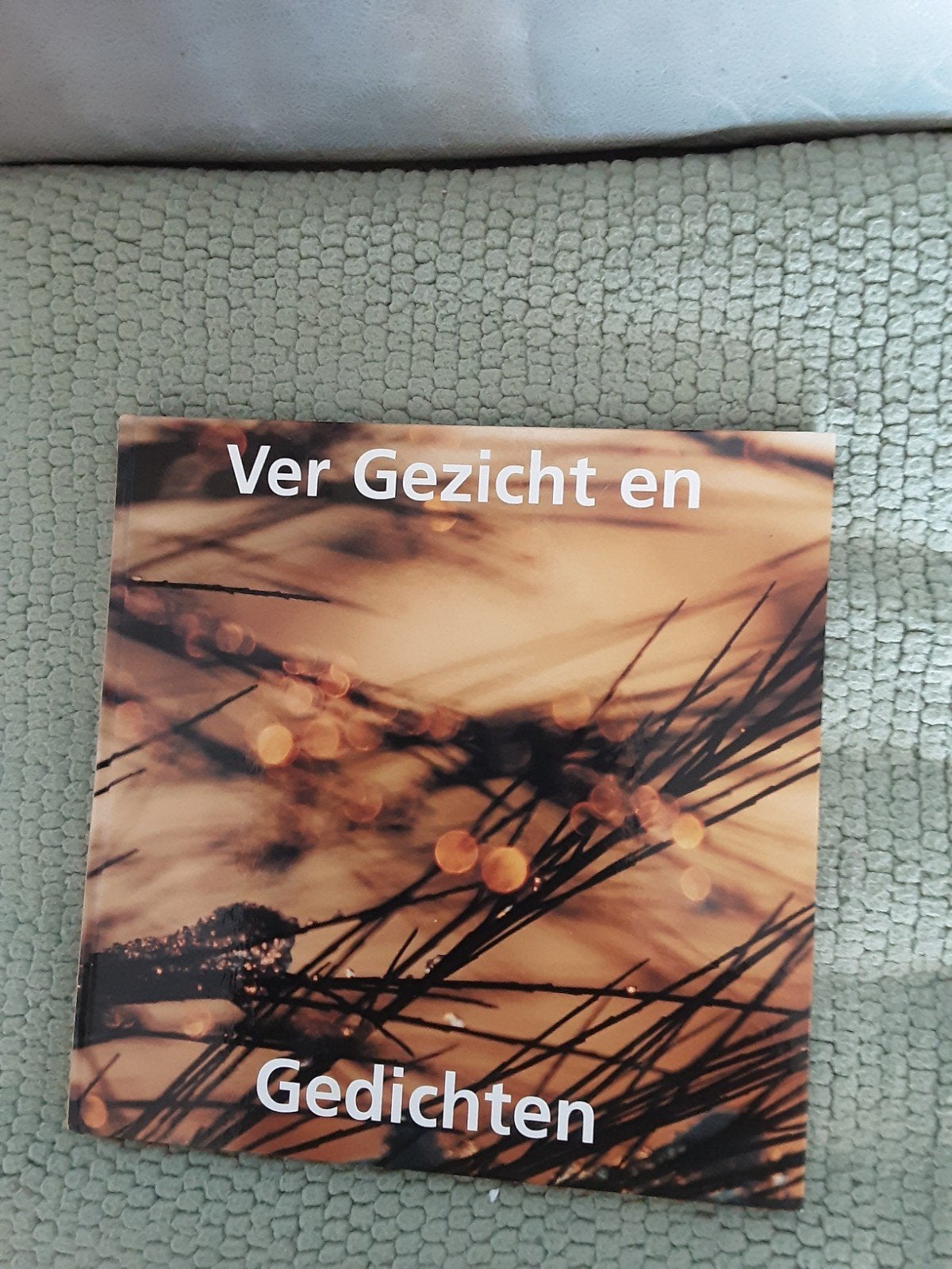 Ver gezicht en Gedichten., Diverse auteurs, Ophalen of Verzenden, Zo goed als nieuw, Nederland