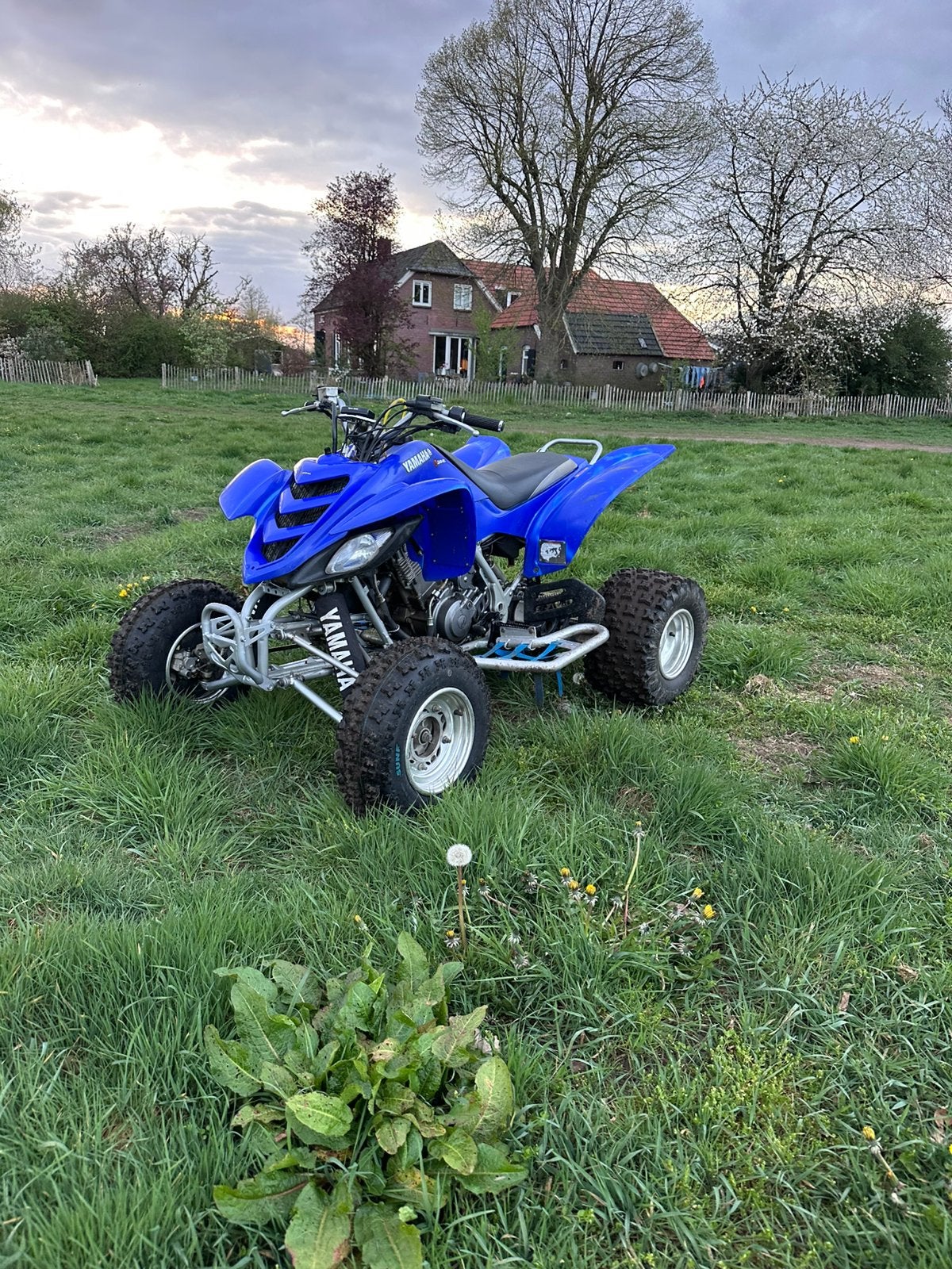 Yamaha raptor 660R, Motoren, Onderdelen | Yamaha, Gebruikt, Ophalen