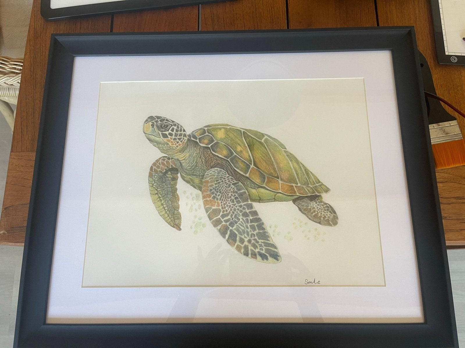 Schildpad tekening., Antiek en Kunst, Ophalen of Verzenden