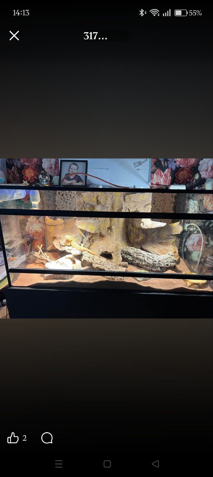 terrarium, Dieren en Toebehoren, Ophalen, Gebruikt, Terrarium of Paludarium
