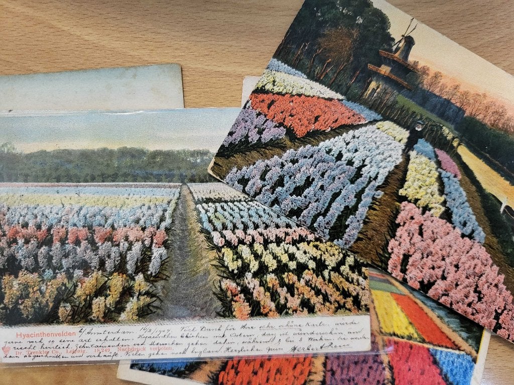 ansicht Bloembollenvelden Bloemen Hyacinthen, Ophalen of Verzenden, Voor 1920, Noord-Holland