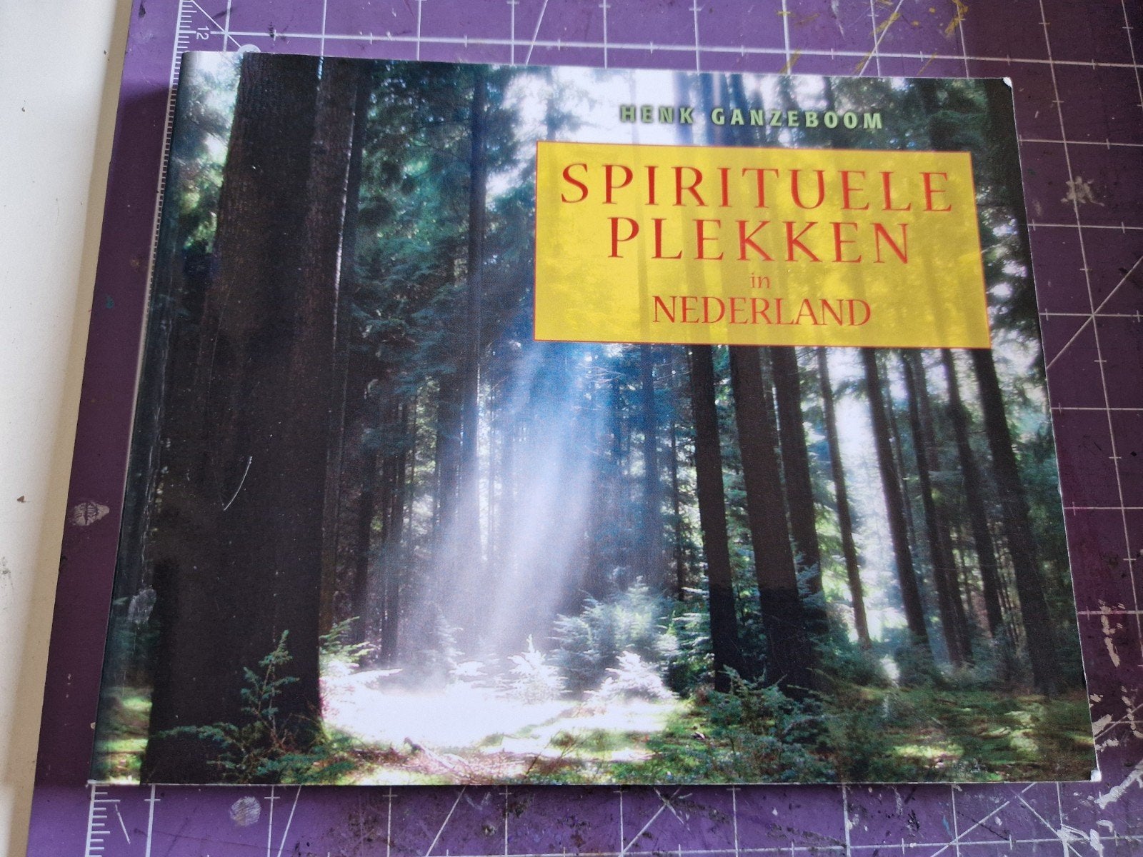H. Ganzeboom - Spirituele plekken in Nederland, Boeken, Ophalen of Verzenden, Zo goed als nieuw, H. Ganzeboom