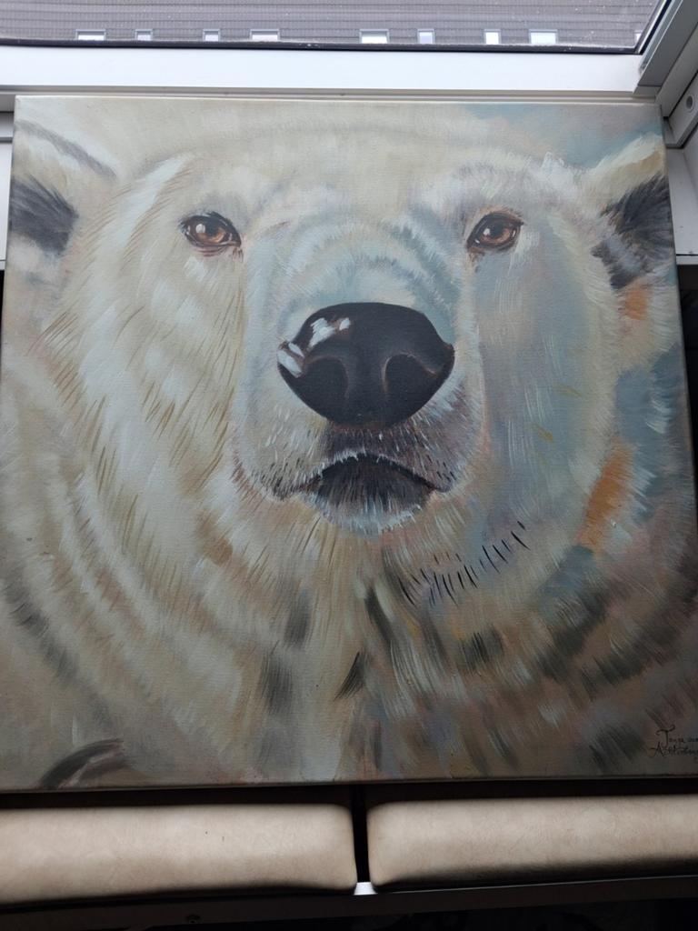 3x schilderij 'ijsbeer tijger en zebra' van tanja groen, Ophalen