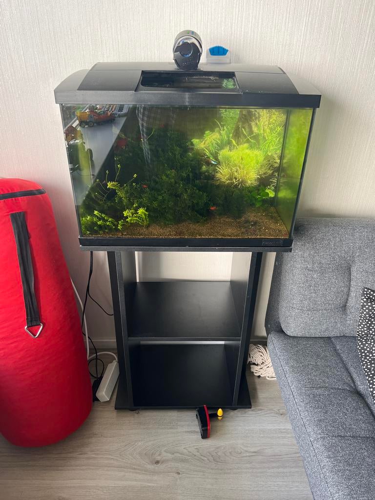Aquarium conpleet, Ophalen, Zo goed als nieuw