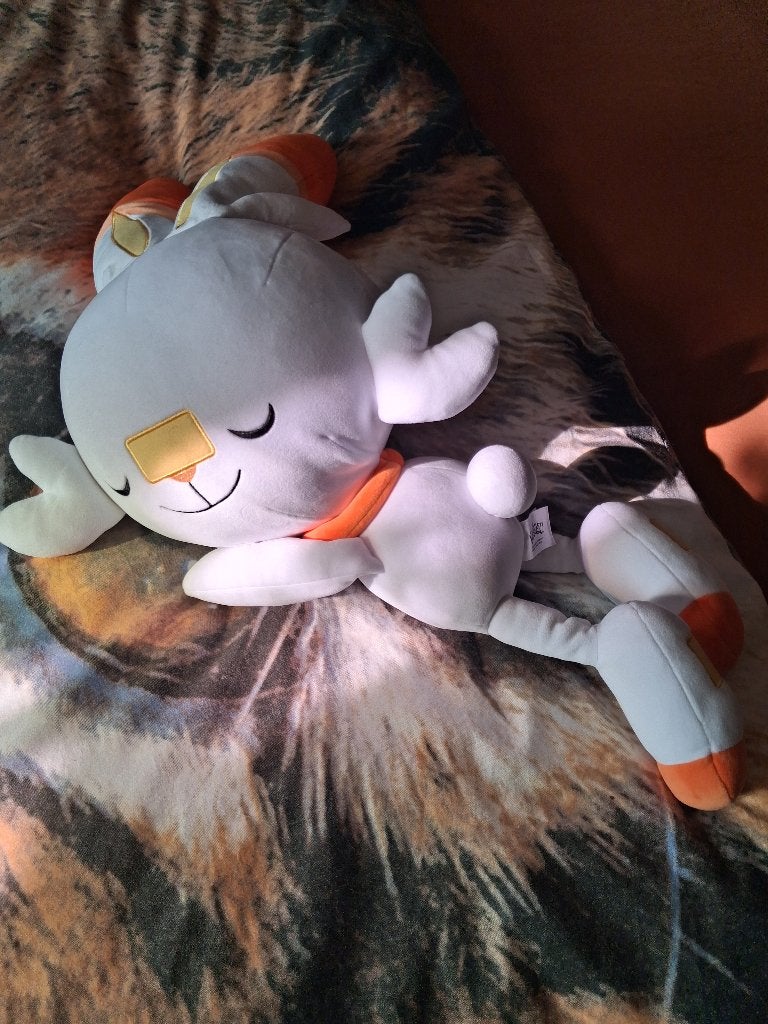 Pokemon knuffels, Overige typen, Ophalen of Verzenden, Zo goed als nieuw, Middelgroot (20 tot 80 cm)