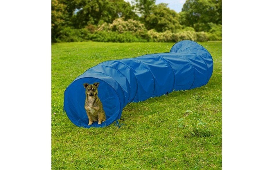 Agility Tunnel Training Hondensport Hondentraining Honden, Dieren en Toebehoren, Ophalen of Verzenden, Nieuw