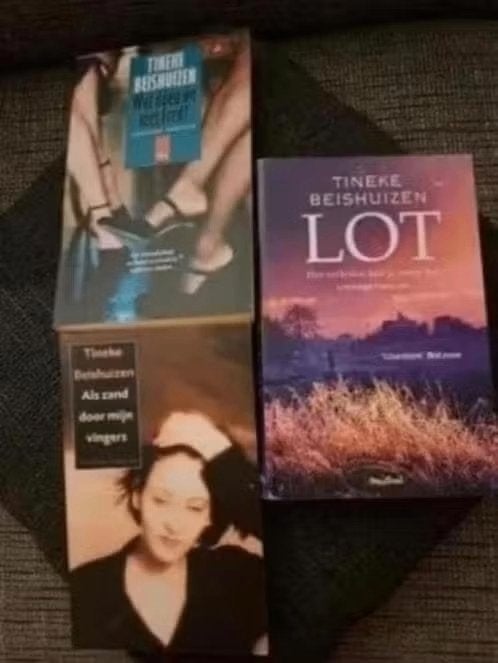 AANBIEDING: 3 literaire thrillers van TINEKE BEISHUIZEN, Boeken, Thrillers, Zo goed als nieuw, Ophalen of Verzenden