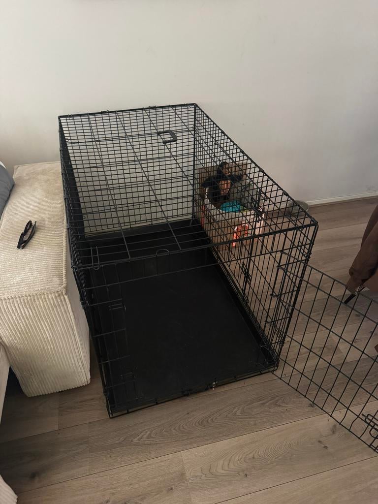 XXL honden bench, Ophalen, Gebruikt
