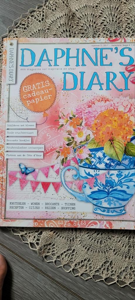 Daphne's Diary Magazine - Nummer 3 - 2017, Boeken, Ophalen of Verzenden, Zo goed als nieuw, Glossy